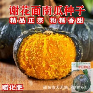 �x�����ϹϷN�ӵ��S�㻨�GƤ�C������������Ϲ����泬���ļ��߲�