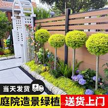 ����Ůؑ�����������ͥԺ�e���L����С�~Ůؑ�͟��ͺ����͘�Gֲ