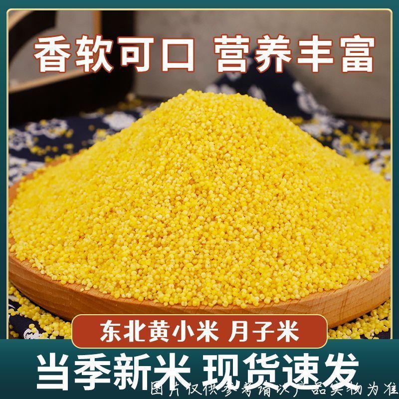 Northeast Golden Millet 2.5kg Farmhouse Porridge Grains Mixed Grains Postpartum Rice Rich in Oil High-Quality Golden Rice for Home Use