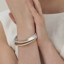 项链;耳环;耳钉