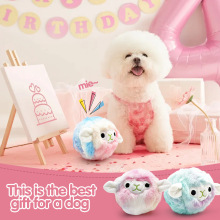 �羳���u����ë�q�l��ҧ����TPRĥ����С����鹷���������Ʒ