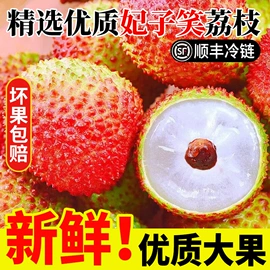 速冻中式面点;传统糕点;肉丸饺类