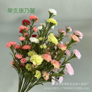 �����֧15�^����ܰ���㻨�ҾӾƵ��c�b�ĸ�H���Y�ﻨ�����l
