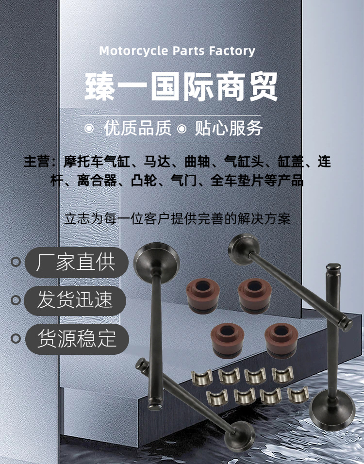 Motorcycle parts valve suitable for Honda CBX300/XRE300/Twister250 intake and exhaust valve oil seal