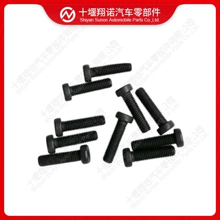 发动机配件ISDE内六角圆头螺栓            3025806