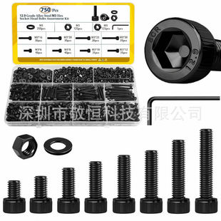 750pcs M3 ���Q��ɫ�ߏ��ȱ��^�������ݽz��ĸƽ�|Ȧ�M�Ϻ��b