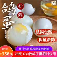 鸽子蛋新鲜30枚×20克大鸽蛋农家散养杂粮孕妇宝宝特产包邮