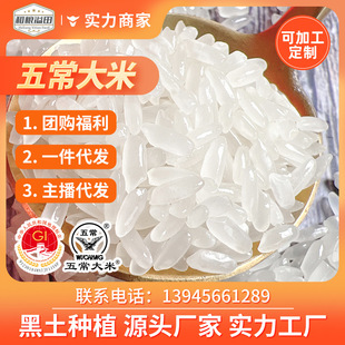 �����ЙC�峣����5kg�����Nֲ�|������10��GB/T19266�峣����