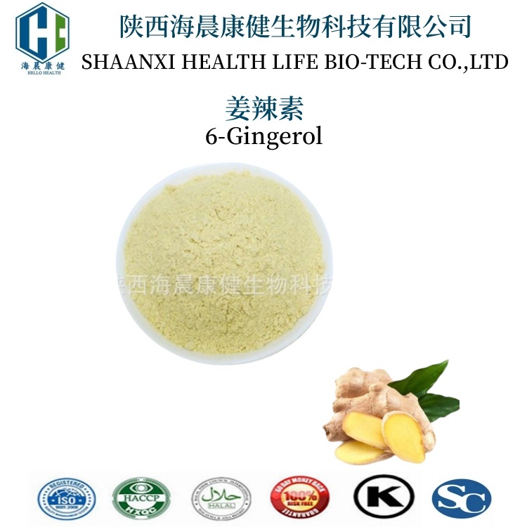 姜辣素10% 生姜提取物10% 海晨康健 姜辣素粉 水溶性