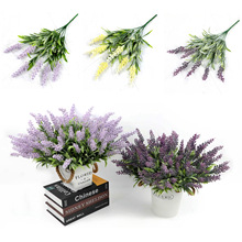 ����޹�²ݷ��滨�����������뵾�Ȼ�����Y��c�Ҿ��b[�����l