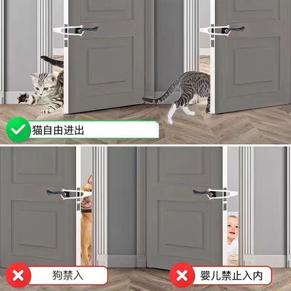 The cat elastic door lock cat that the pet door locks to the door of…