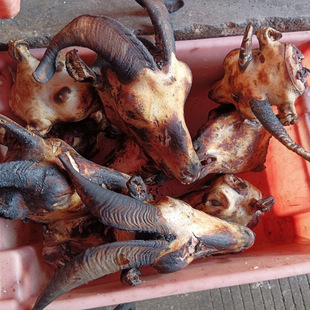 ���^���r������������r��ɽ��d���ຣ�ؾd��羳һ�����l