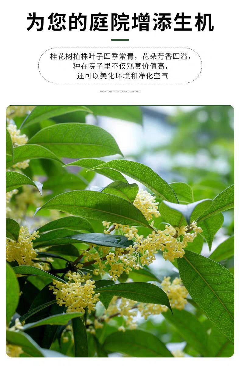 eb609137-49fc-499a-bbd4-c9c21152149e.jpe