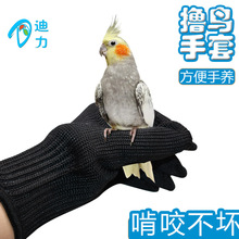 宠物鹦鹉手养防咬手套 放飞手套 虎皮牡丹鹦鹉手套鸟配件钢丝手套