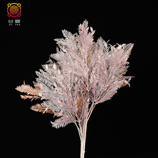 c滨 pPβֲ Pβ  ·Ŵ׻