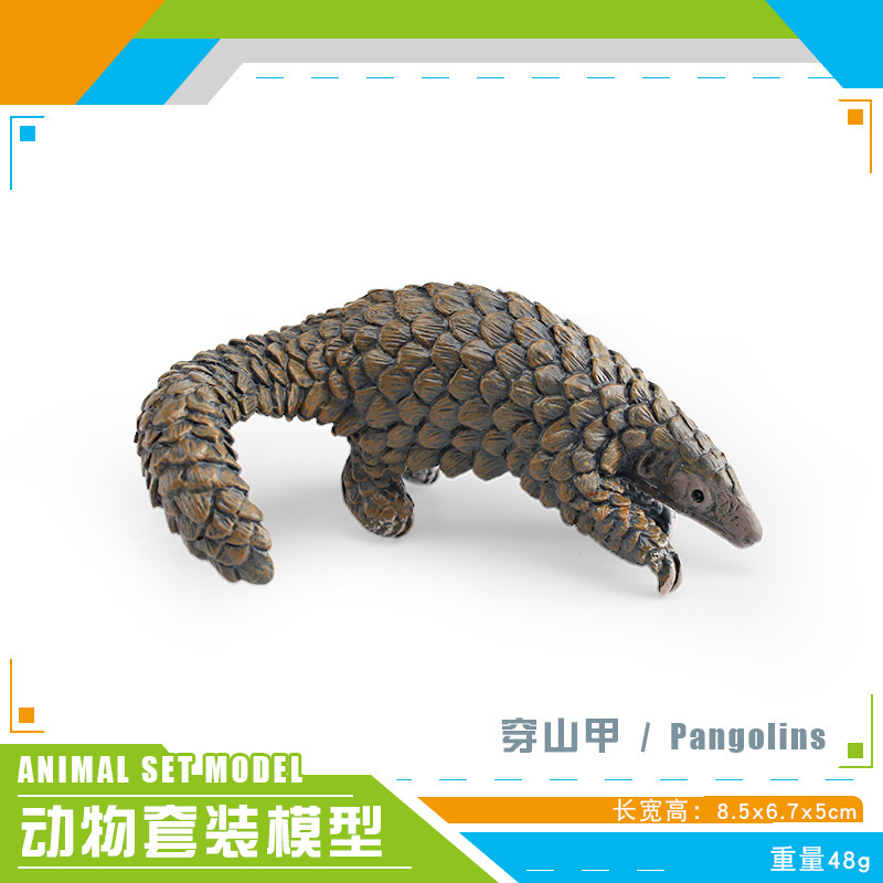 Transfronterizo de los niños de simulación cognitiva bosque animal asiático oso negro perro oso creciente oso negro modelo decorativo decoración de escritorio