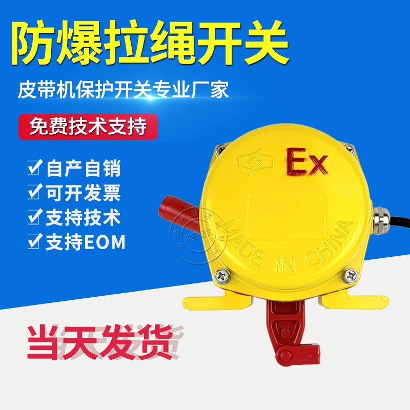 Ленточный конвейер транспортирует взрывозащищенный двухсторонний трос вытягиватель EXTDB21T90 EXZGLPT2 KBJ5/380L