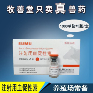 �F��Ѫ������PMSG�����Ѱl�����N�T�鄩ĸ�i��؈��ţ�����RѪ��