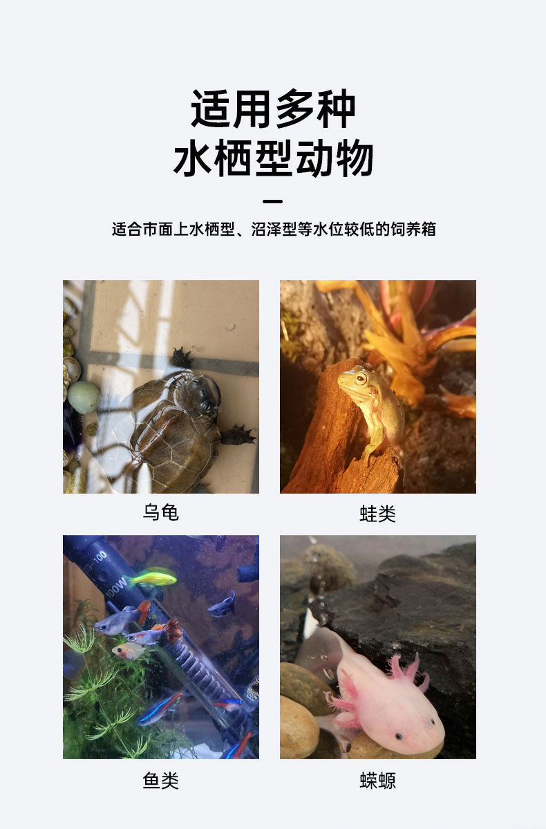 xiangqing_03.jpg