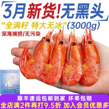 ���O�r���r���r�������r�����r�����^�Ѹ��ѱ��O�ܺ��rˮ�a�r��A3