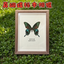 ������˱���� �F���L�b�DIY�͹����[̨�Ҿ��b�ˇƷ�YƷ