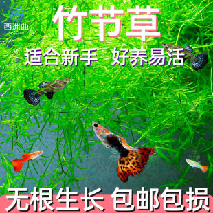 �������T�񹝲��ͻˮ�ݸ��~�׺��B�ͻ��ױ��׃���ˮ�|�^�pˮ��