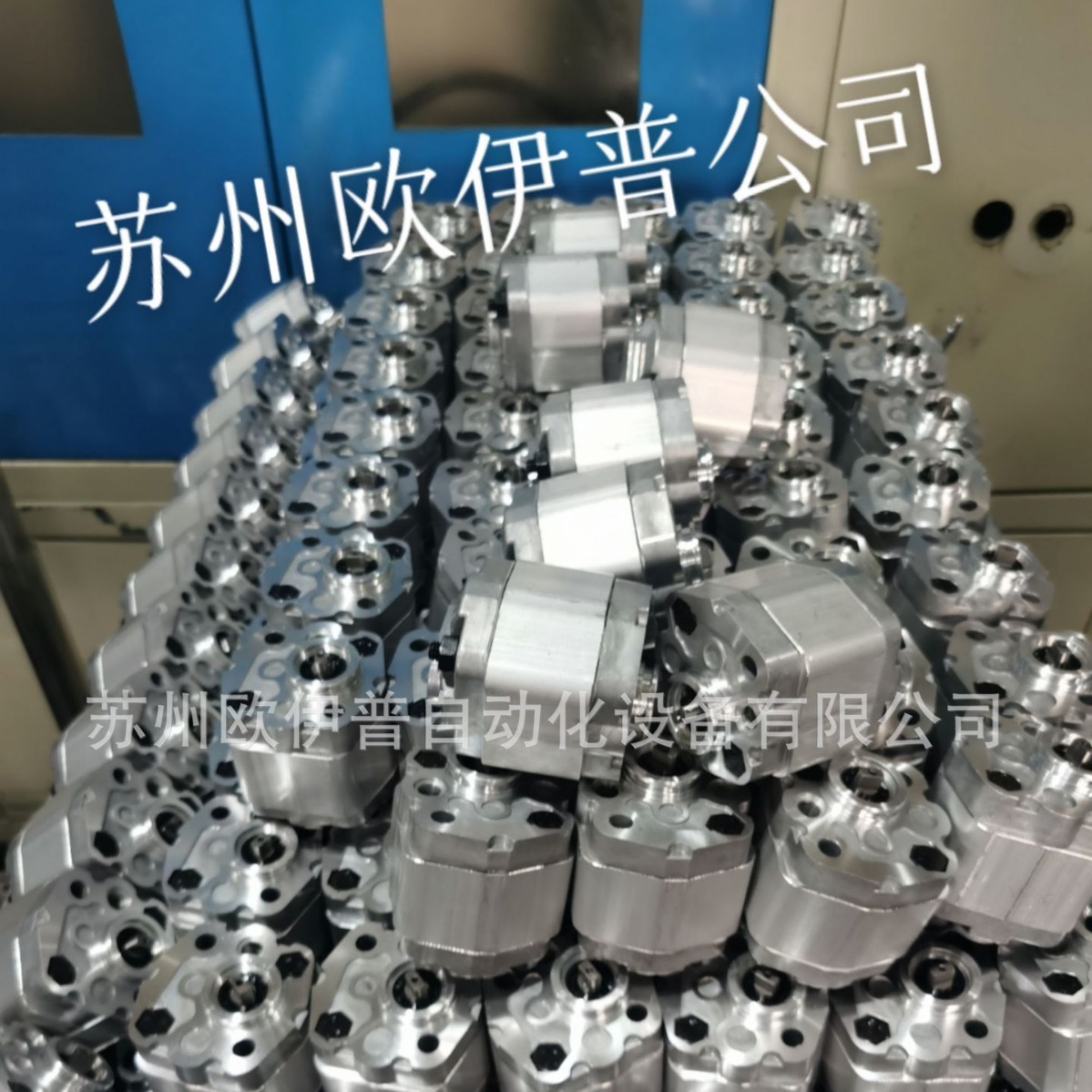 PHC1-2.2液压泵MAOTE齿轮泵K1PD3.3G意大利马祖奇同款EK1PD2G优惠