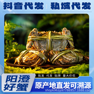 �K��ꖳδ��lз���l�������l˽����lȫ���\�д���Դ�^���Sֱ�l
