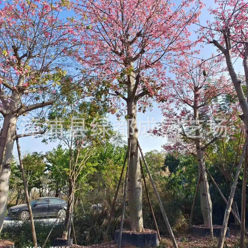 发布供应商品 - 1688.com 全球领先的采购批发平台