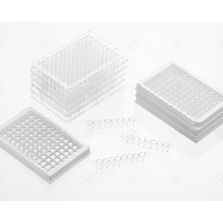 virya可拆型 3300106酶标板 8孔酶标框 实验室耗材 聚苯乙烯材质