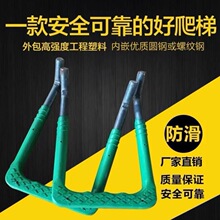 ���P����ݏS����ˮ�Ѿ��A�����̤���z���������������ˮ������