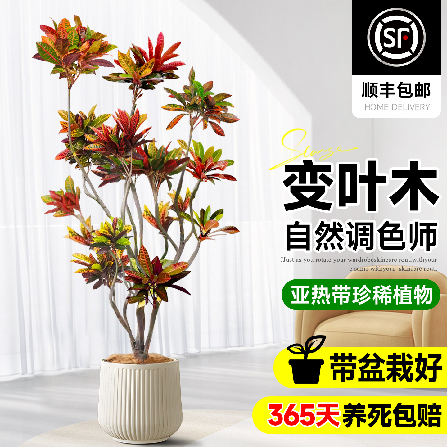 商品图