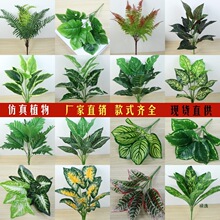 ���W�Lֲ�ﻨ�Gֲ�[�������~�҃������ٻ������쾰�Gɫ