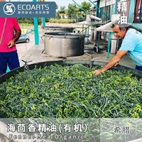 Эфирное масло морского фенхеля Греция импортное органическое эфирное масло сырье Косметика сырье Yaqi ароматерапевтическое массажное эфирное масло