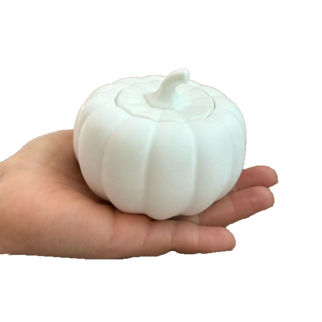 Frasco de Almacenamiento de Calabaza de Yeso en Blanco DIY para Pintar