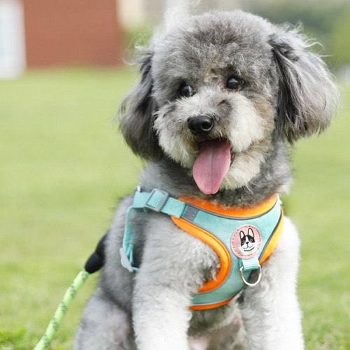 Manufacturer Pipitao Suede Adjustable Reflective Chest and Back Traction Rope to Prevent Break-Out Dog Walking Rope When Going Out