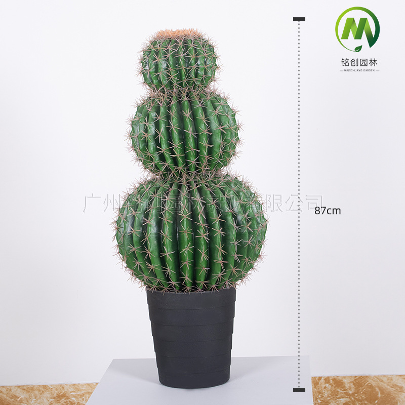 Decoración de paisajismo de plantas falsas en el desierto tropical image 34