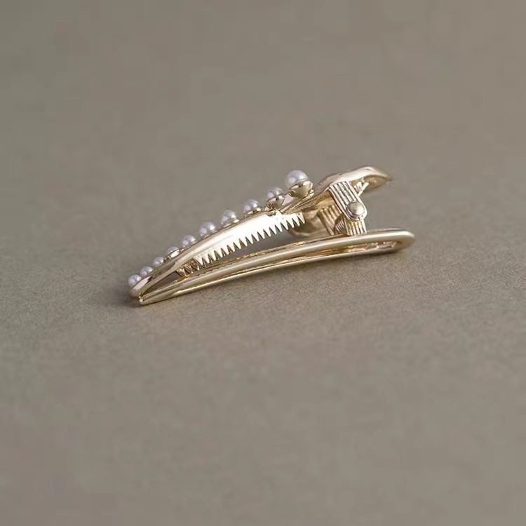 微信图片_202409151301052