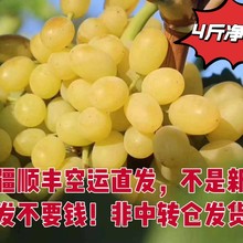 【顺丰包邮】无核白葡萄新疆直发新鲜现摘应当季无籽露小蜜蜂纯甜