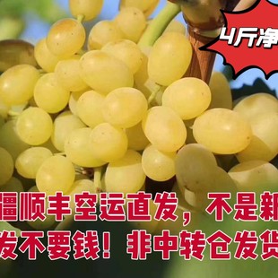 ����S���]���o�˰������½�ֱ�l���r�Fժ�������o��¶С�۷伃��