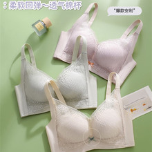 �޲���¸����ϱ�͸���ޱ���£�����Ը���˿�������޴��޸�Ȧ����