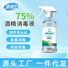 酒精消毒75度便携式500ml免洗家用抑菌消毒液速干杀菌酒精喷雾