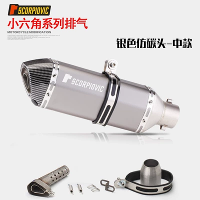Motorcycle exhaust pipe – Motorcycle Modified Exhaust Pipe - medium-model-silver-imitation-carbon-head