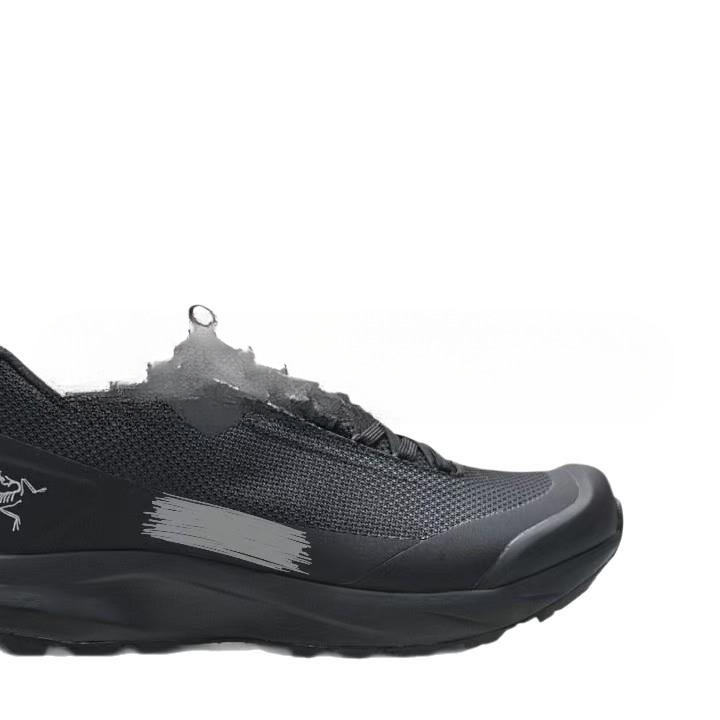 新しい純粋なオリジナル Aerios FL Gtx カバー防水ロートップ屋外登山ハイキングシューズ男性と女性の靴|undefined