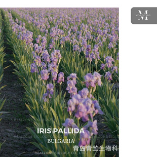 ��ϡ��� /����� �a�^ֱ�� ԭ�����l �η�����