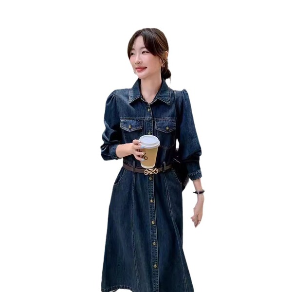 Demi-season long denim dress
