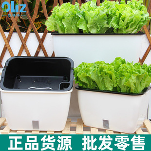 �ش��ͥ�̨�N�����L���ηNֲ����ͥԺ���ϻ����������L�l����