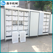 鑫丰豆芽机价格 300斤豆芽设备省水省电产量高 技术包教会