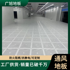 コンピュータ室換気 静電気床浄化作業場 オーバーヘッド換気床 全鋼製帯電防止換気床 600600