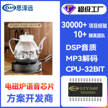 С����Z��оƬ ����Z������оƬ ��ӮaƷ�Z��оƬ �������IC